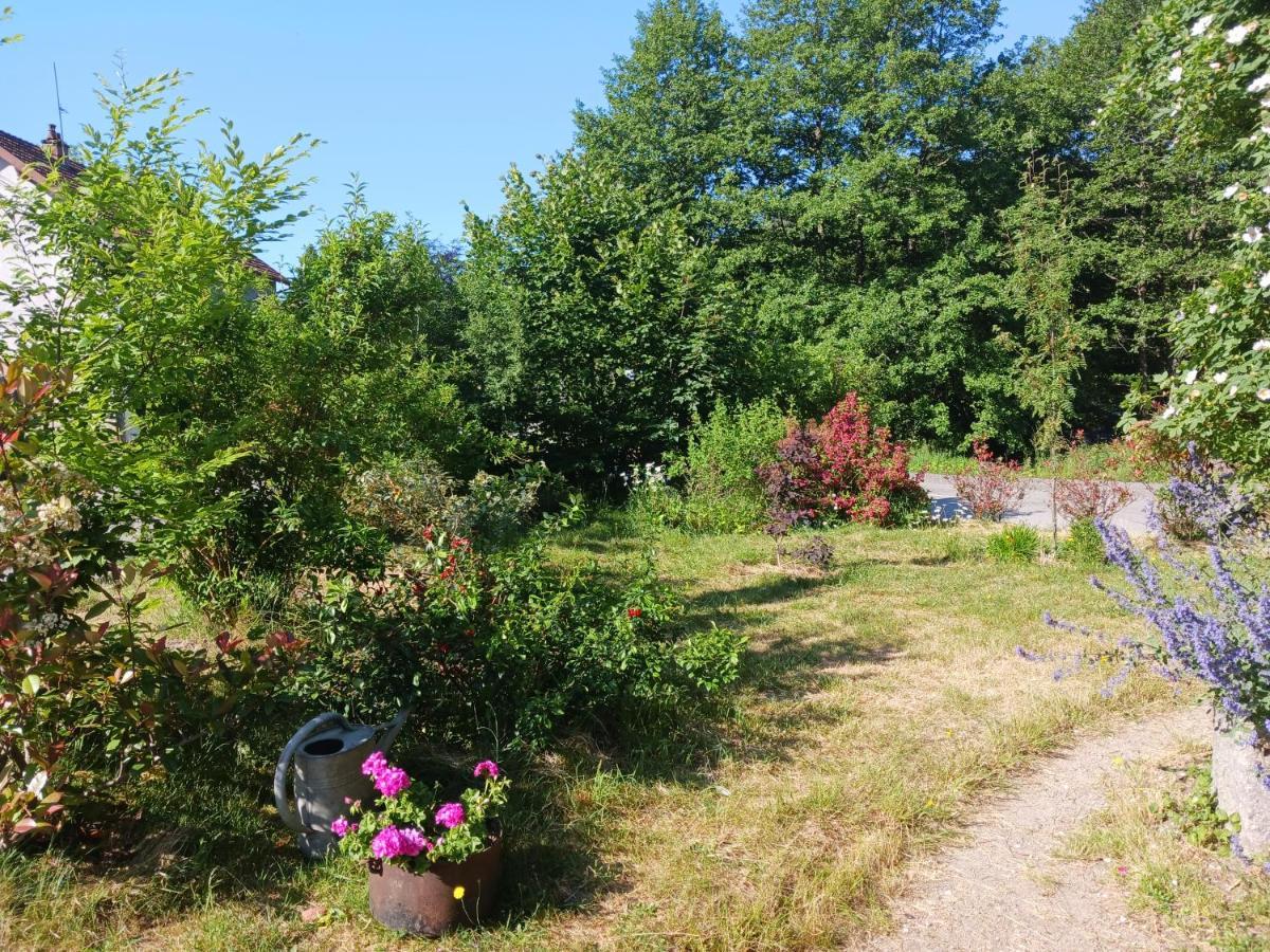Ferme Du Haut Barba Liézey Eksteriør billede