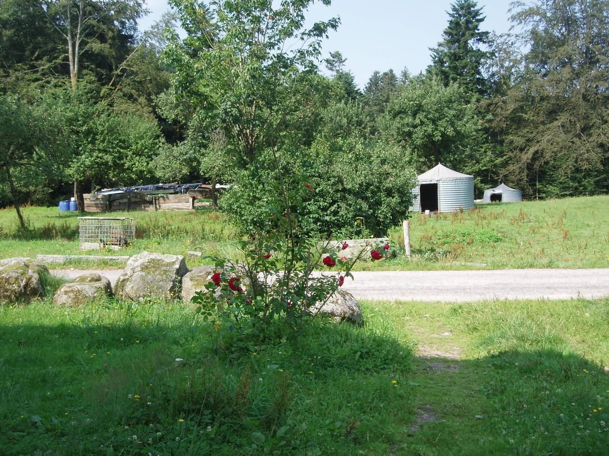 Ferme Du Haut Barba Liézey Eksteriør billede